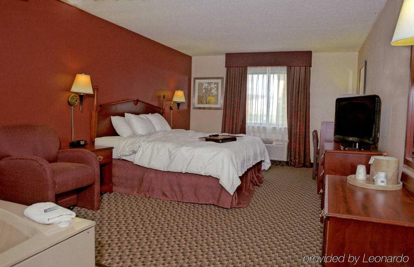 Hampton Inn Birch Run Habitación foto